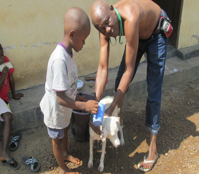 Providing treatment for a community dog